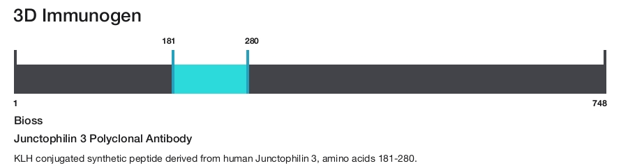 Junctophilin 3 Polyclonal Antibody