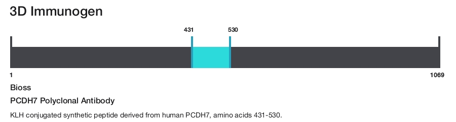 PCDH7 Polyclonal Antibody