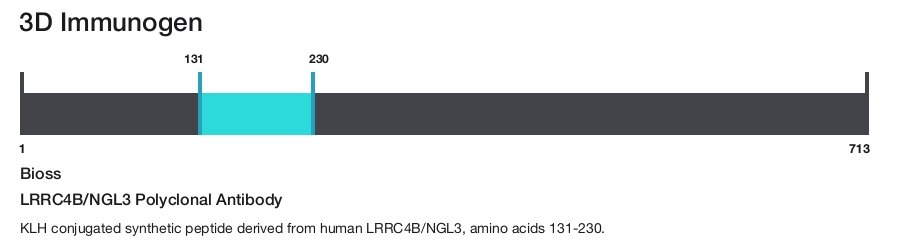 LRRC4B/NGL3 Polyclonal Antibody