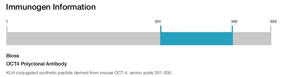 OCT4 Polyclonal Antibody