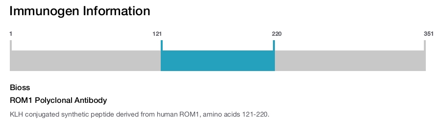 ROM1 Polyclonal Antibody