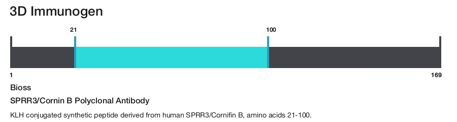 SPRR3/Cornin B Polyclonal Antibody