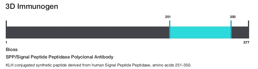 SPP/Signal Peptide Peptidase Polyclonal Antibody