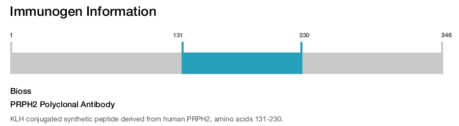 PRPH2 Polyclonal Antibody