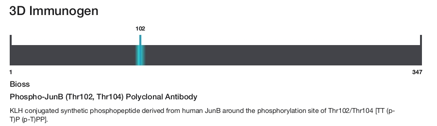 Phospho-JunB (Thr102, Thr104) Polyclonal Antibody