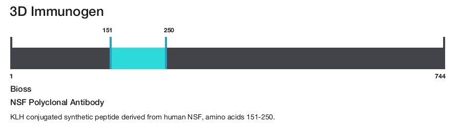 NSF Polyclonal Antibody