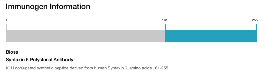 Syntaxin 6 Polyclonal Antibody