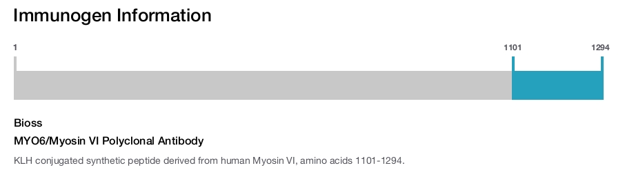 MYO6/Myosin VI Polyclonal Antibody