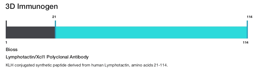 Lymphotactin/Xcl1 Polyclonal Antibody