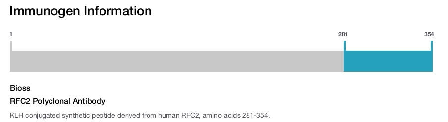 RFC2 Polyclonal Antibody