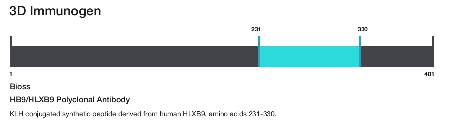 HB9/HLXB9 Polyclonal Antibody