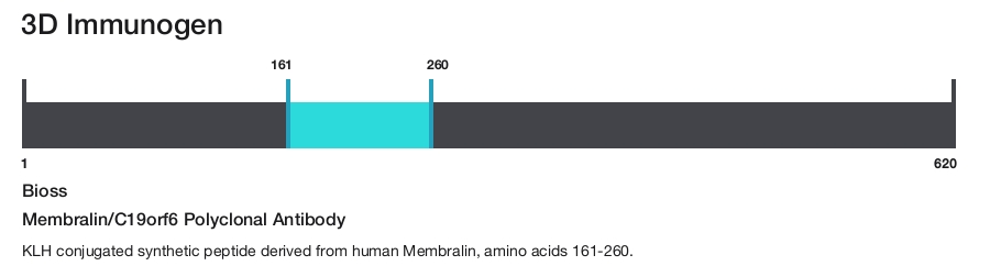 Membralin/C19orf6 Polyclonal Antibody
