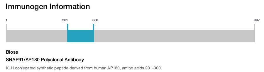 SNAP91/AP180 Polyclonal Antibody