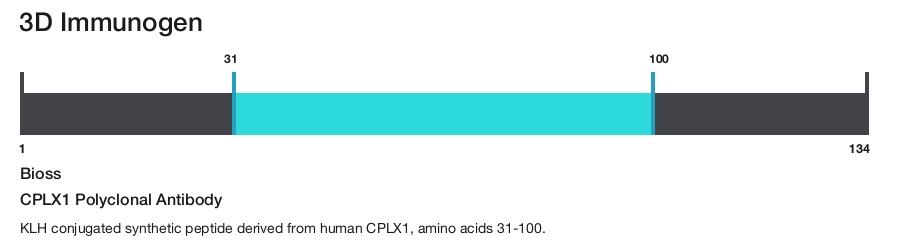CPLX1 Polyclonal Antibody