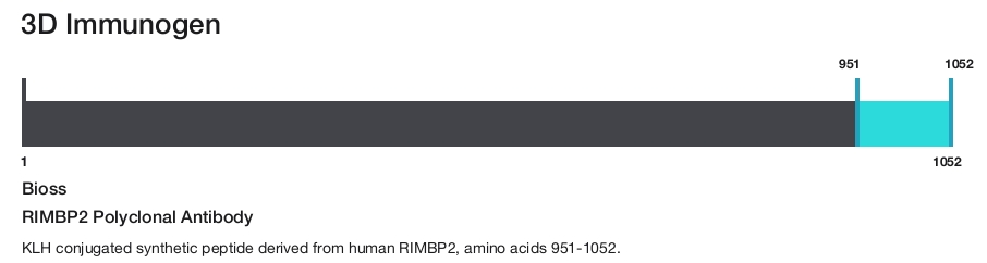 RIMBP2 Polyclonal Antibody