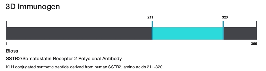 SSTR2/Somatostatin Receptor 2 Polyclonal Antibody