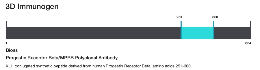 Progestin Receptor Beta/MPRB Polyclonal Antibody