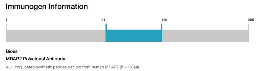 MRAP2 Polyclonal Antibody