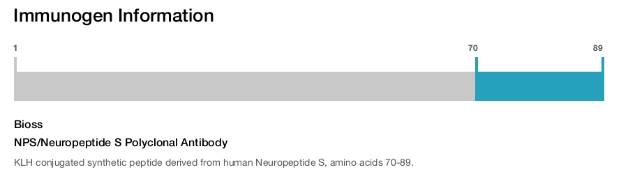 NPS/Neuropeptide S Polyclonal Antibody
