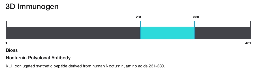 Nocturnin Polyclonal Antibody