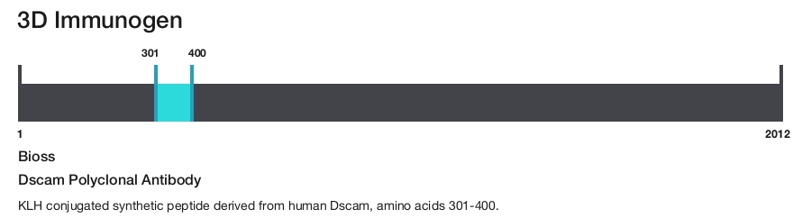 Dscam Polyclonal Antibody