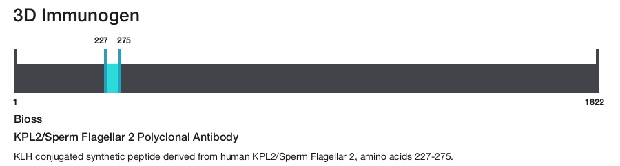 KPL2/Sperm Flagellar 2 Polyclonal Antibody