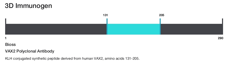 VAX2 Polyclonal Antibody