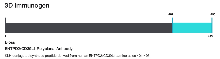 ENTPD2/CD39L1 Polyclonal Antibody