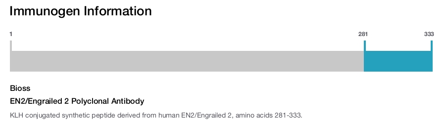 EN2/Engrailed 2 Polyclonal Antibody