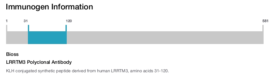 LRRTM3 Polyclonal Antibody