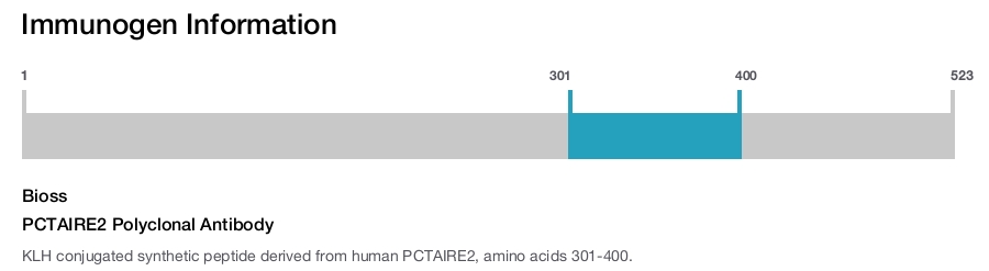 PCTAIRE2 Polyclonal Antibody