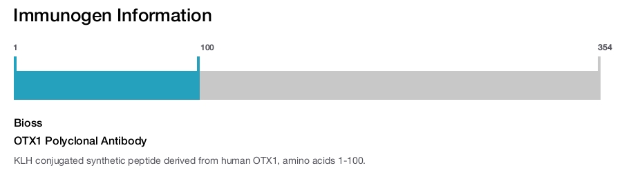OTX1 Polyclonal Antibody
