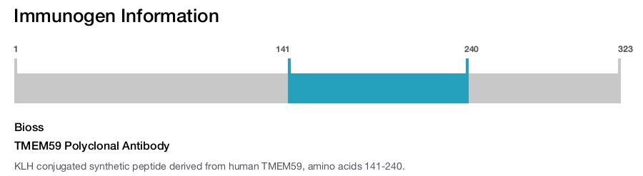 TMEM59 Polyclonal Antibody