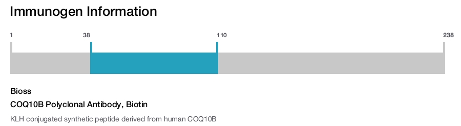 COQ10B Polyclonal Antibody, Biotin