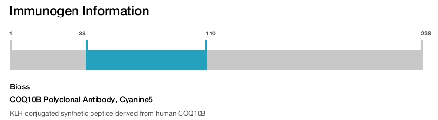COQ10B Polyclonal Antibody, Cyanine5