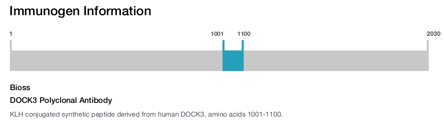 DOCK3 Polyclonal Antibody
