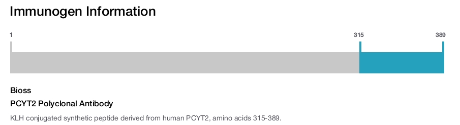 PCYT2 Polyclonal Antibody