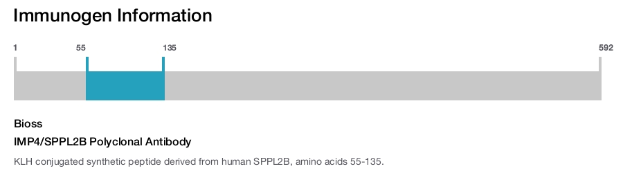 IMP4/SPPL2B Polyclonal Antibody