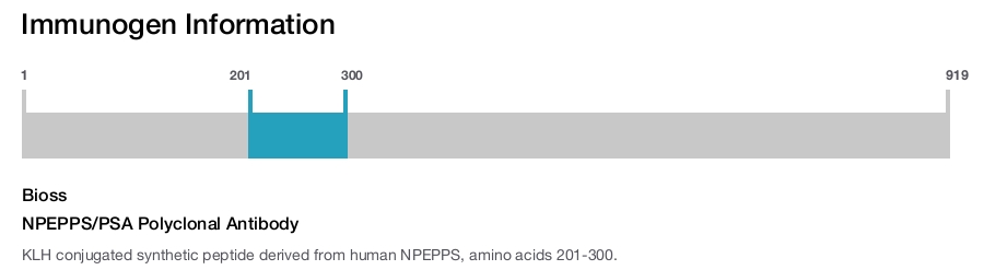 NPEPPS/PSA Polyclonal Antibody