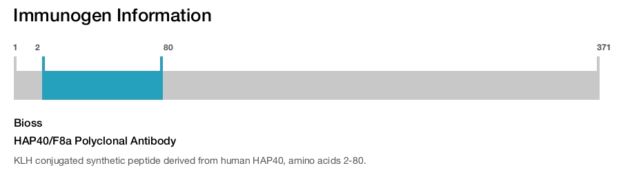 HAP40/F8a Polyclonal Antibody