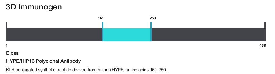 HYPE/HIP13 Polyclonal Antibody