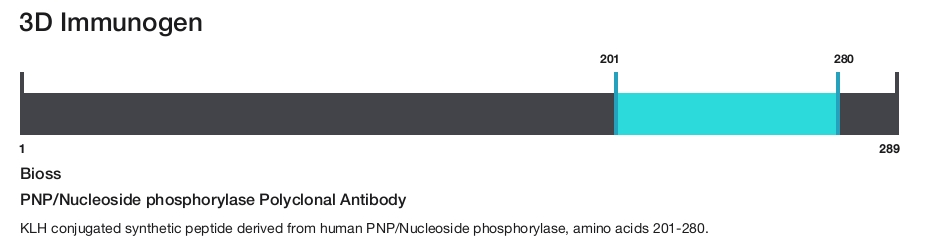 PNP/Nucleoside phosphorylase Polyclonal Antibody