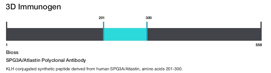 SPG3A/Atlastin Polyclonal Antibody