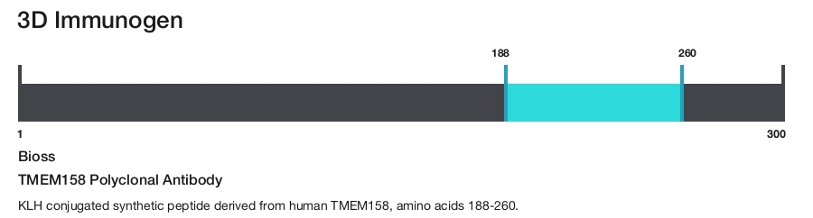 TMEM158 Polyclonal Antibody
