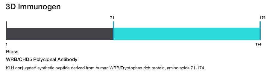WRB/CHD5 Polyclonal Antibody
