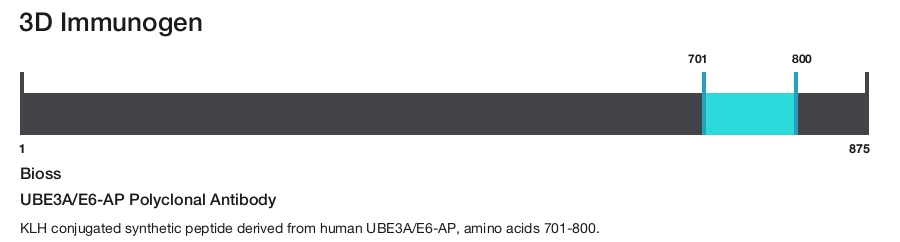 UBE3A/E6-AP Polyclonal Antibody