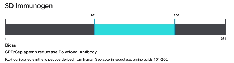SPR/Sepiapterin reductase Polyclonal Antibody