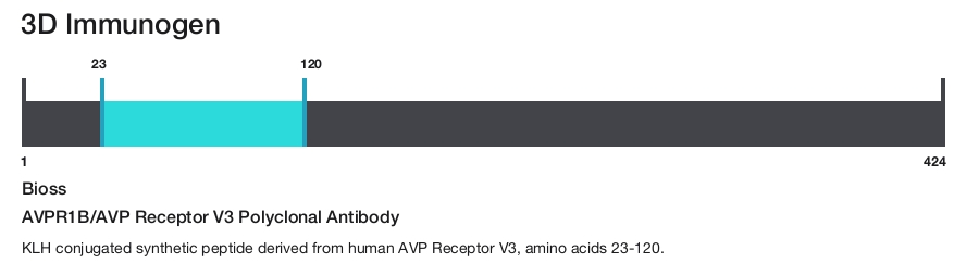 AVPR1B/AVP Receptor V3 Polyclonal Antibody