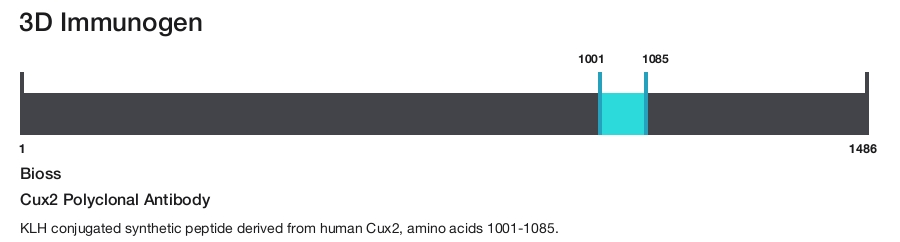 Cux2 Polyclonal Antibody
