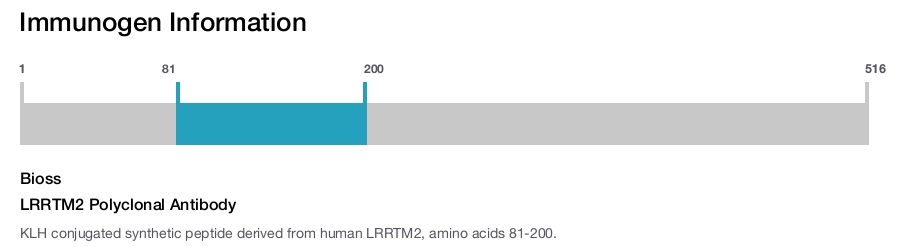 LRRTM2 Polyclonal Antibody
